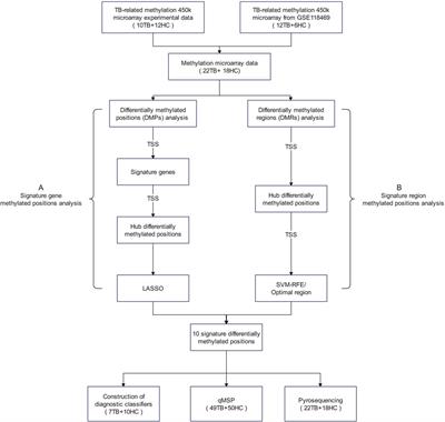 Exploring TSPAN4 promoter methylation as a diagnostic biomarker for tuberculosis